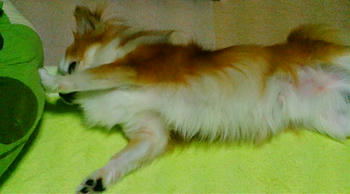 20070807212015.jpg