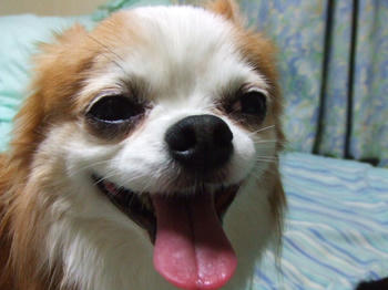 DSCF2432.JPG