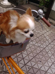 20070902150428.jpg