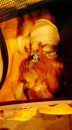20071022193251.jpg
