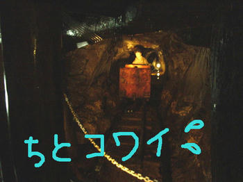8451587e.jpg