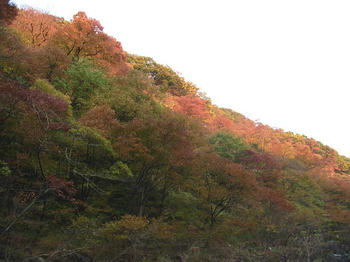 dd9c6045.jpg