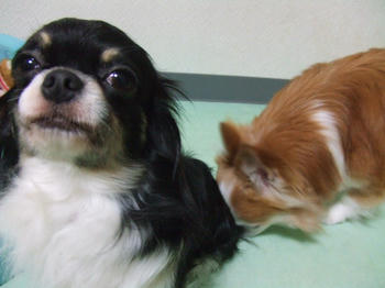 DSCF2643.JPG