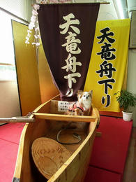 16c48627.jpg