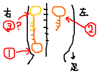 fimg_1211032058.png