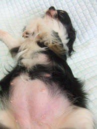 DSCF2710.JPG