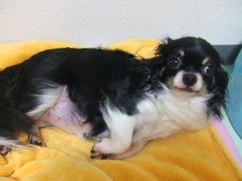 DSCF2714.JPG