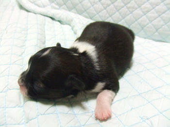 DSCF2775.JPG