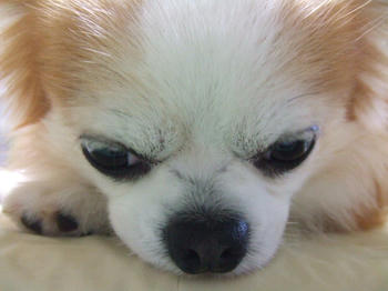 DSCF2783.JPG