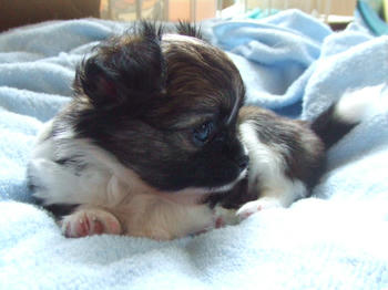 DSCF2860.JPG