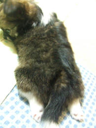 DSCF2927.JPG