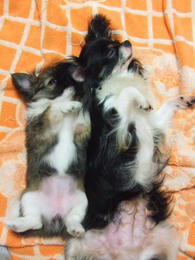 DSCF2993.JPG