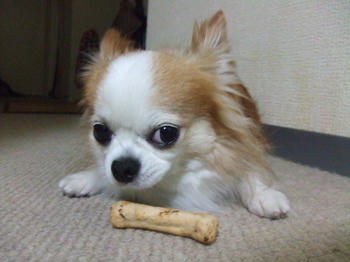 DSCF3002.JPG