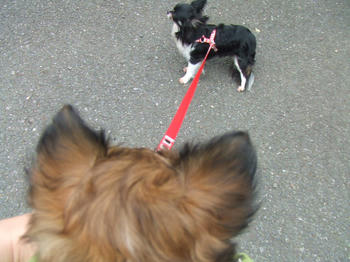 DSCF2984.JPG