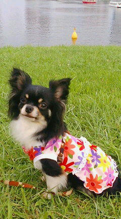 20070722175649.jpg