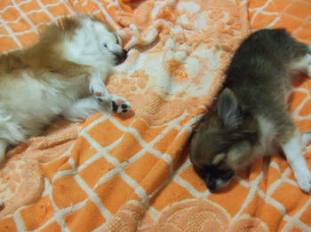 DSCF3078.JPG