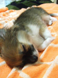 DSCF3077.JPG