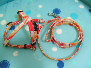 DSCF3088.JPG
