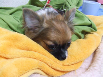 DSCF3093.JPG