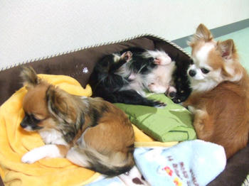 DSCF3162.JPG