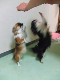 DSCF3167.JPG