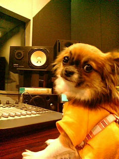 20090305190159.jpg