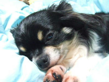 DSCF3197.JPG