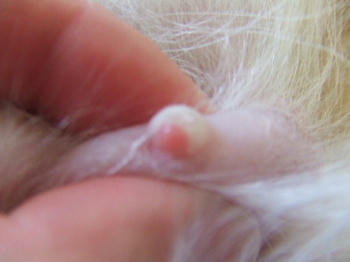 DSCF3204.JPG