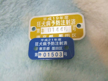 DSCF3210.JPG