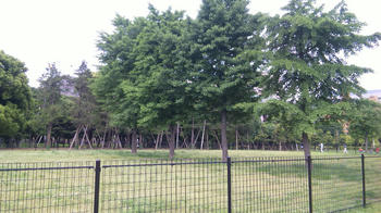 090516_132643.jpg