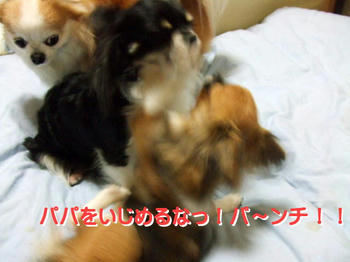 0415a840.jpg