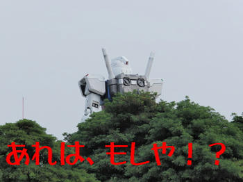 b20b8247.jpg