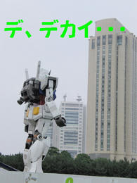 fedba5e2.jpg