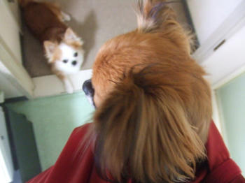 DSCF3218.JPG