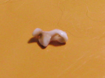 ddc7f673.jpg