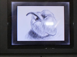 DSCF0092.jpg