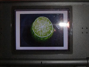 DSCF0099.jpg