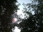 DSCF0030.JPG