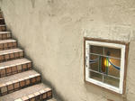 DSCF0041.JPG
