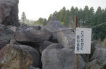 RIMG0962.jpg