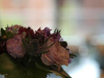 P5292493.jpg