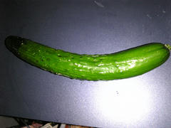 SBSH0239.jpg