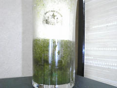 SBSH0242.jpg
