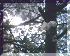 9fa0050a.JPG