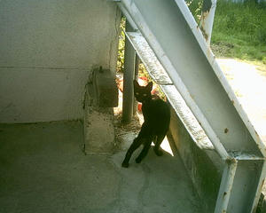 b34ed044.JPG