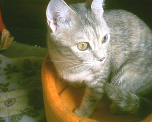 PHTO0028.JPG