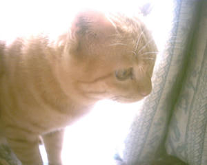 PHTO0005.JPG