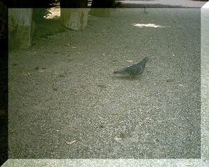PHTO0003_00.JPG