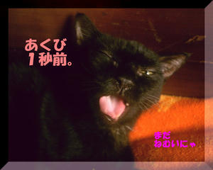 7b70443a.JPG