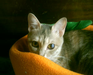 PHTO0024.JPG
